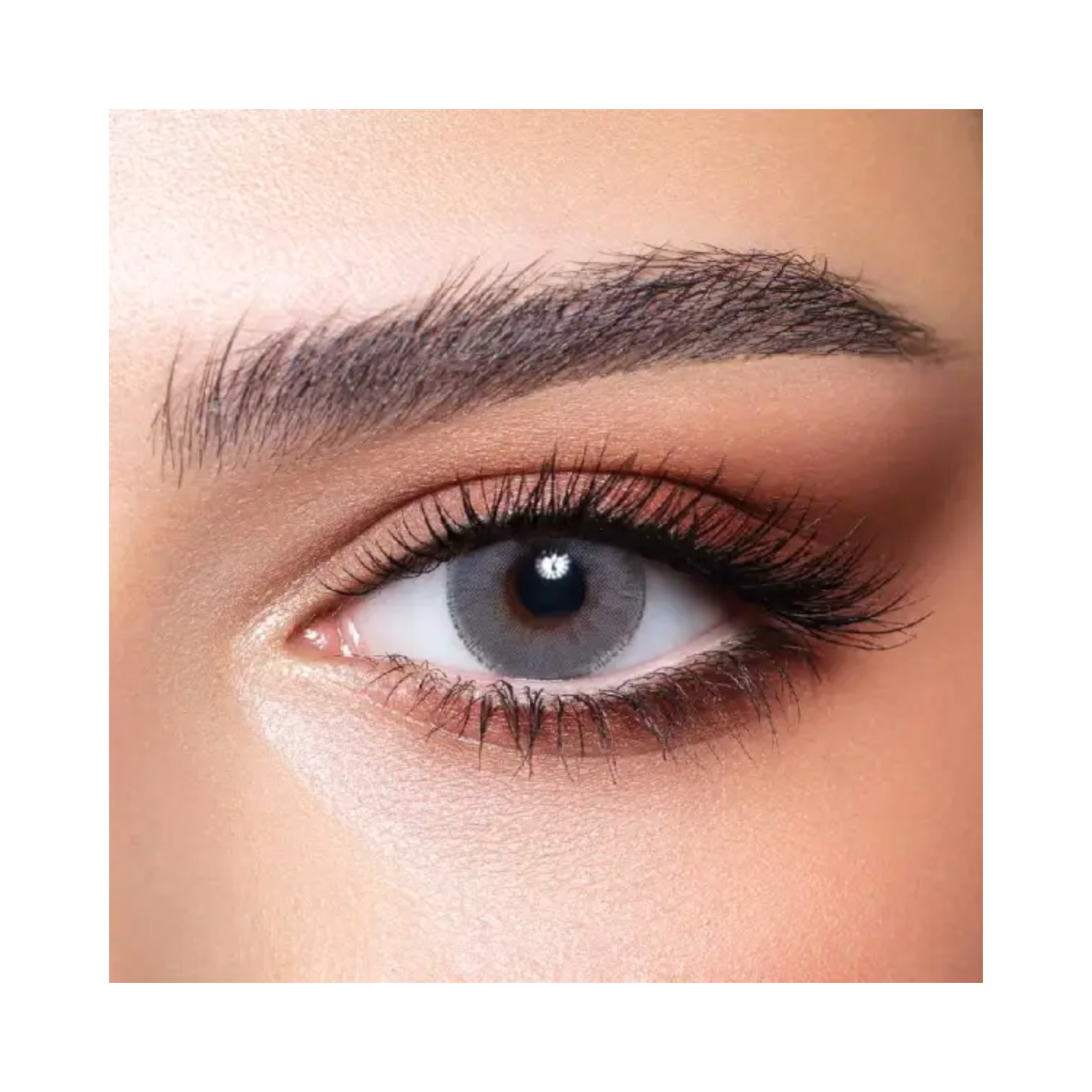 bella-elite-cloudy-gray-lenses