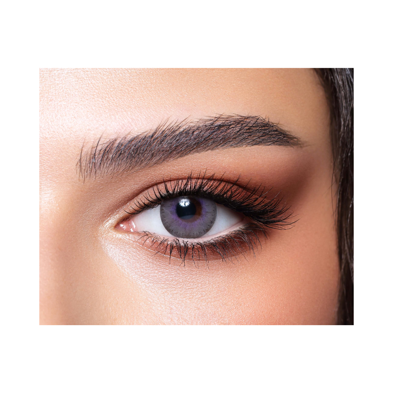 bella-elite-lavender-gray-lenses