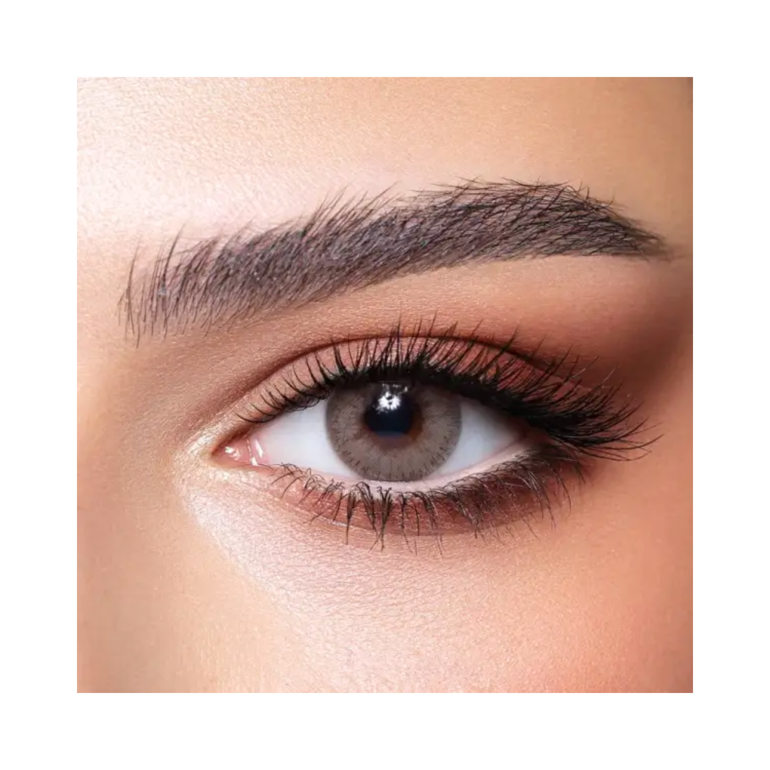 bella-elite-sandy-gray-lenses