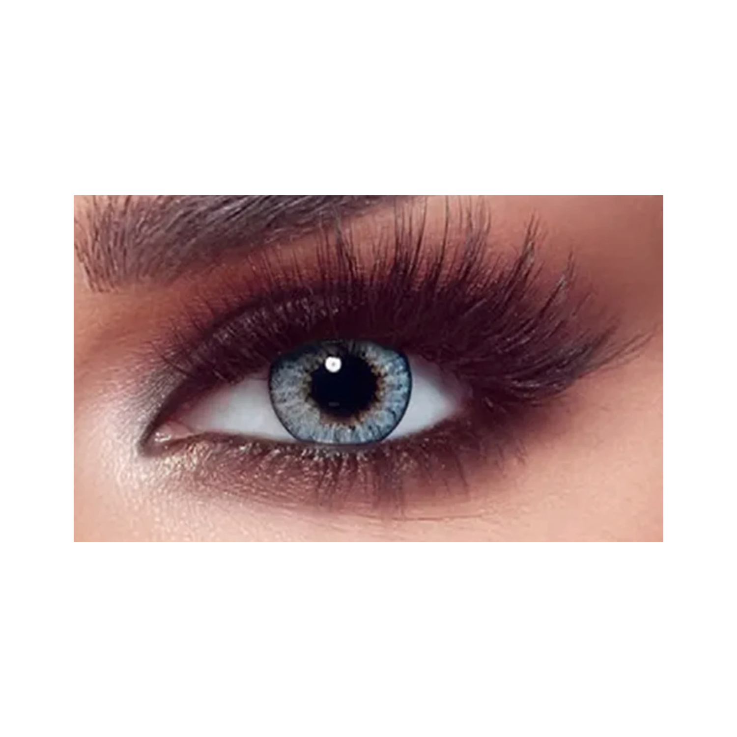 bella-one-day-ocean-blue-lenses