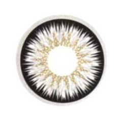 reflextions-expressive-gray-lenses