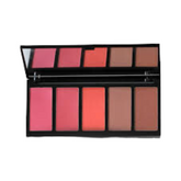 sheaffer-cosmetics-mineralize-5-color-blusher-matte-blush-on-palette-b