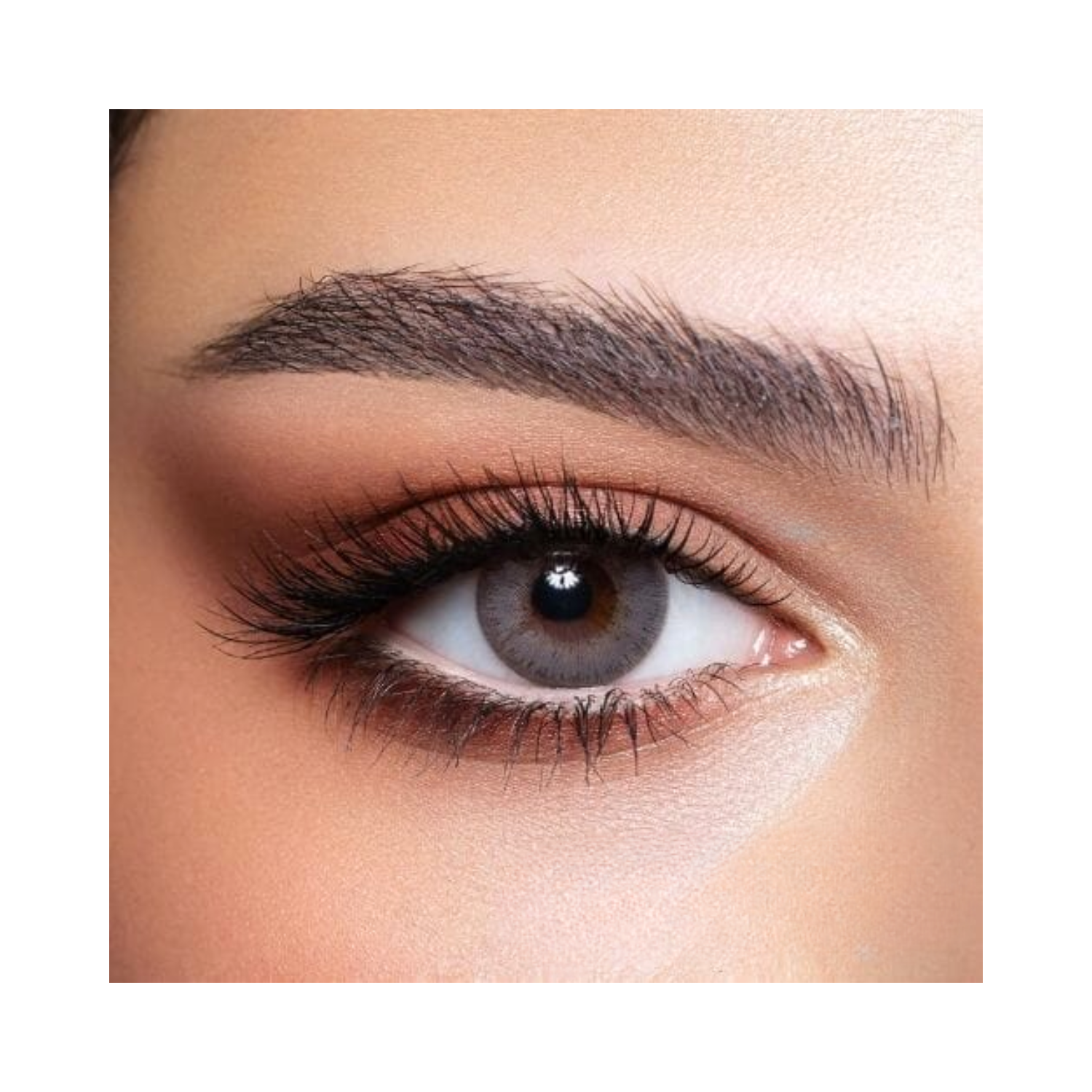 bella-elite-gray-beige-lenses