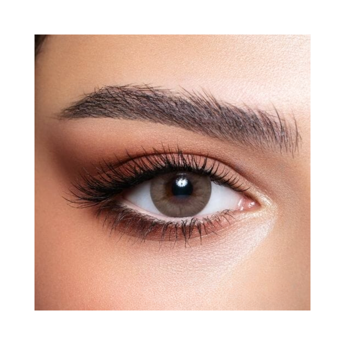 bella-elite-sandy-brown-lenses