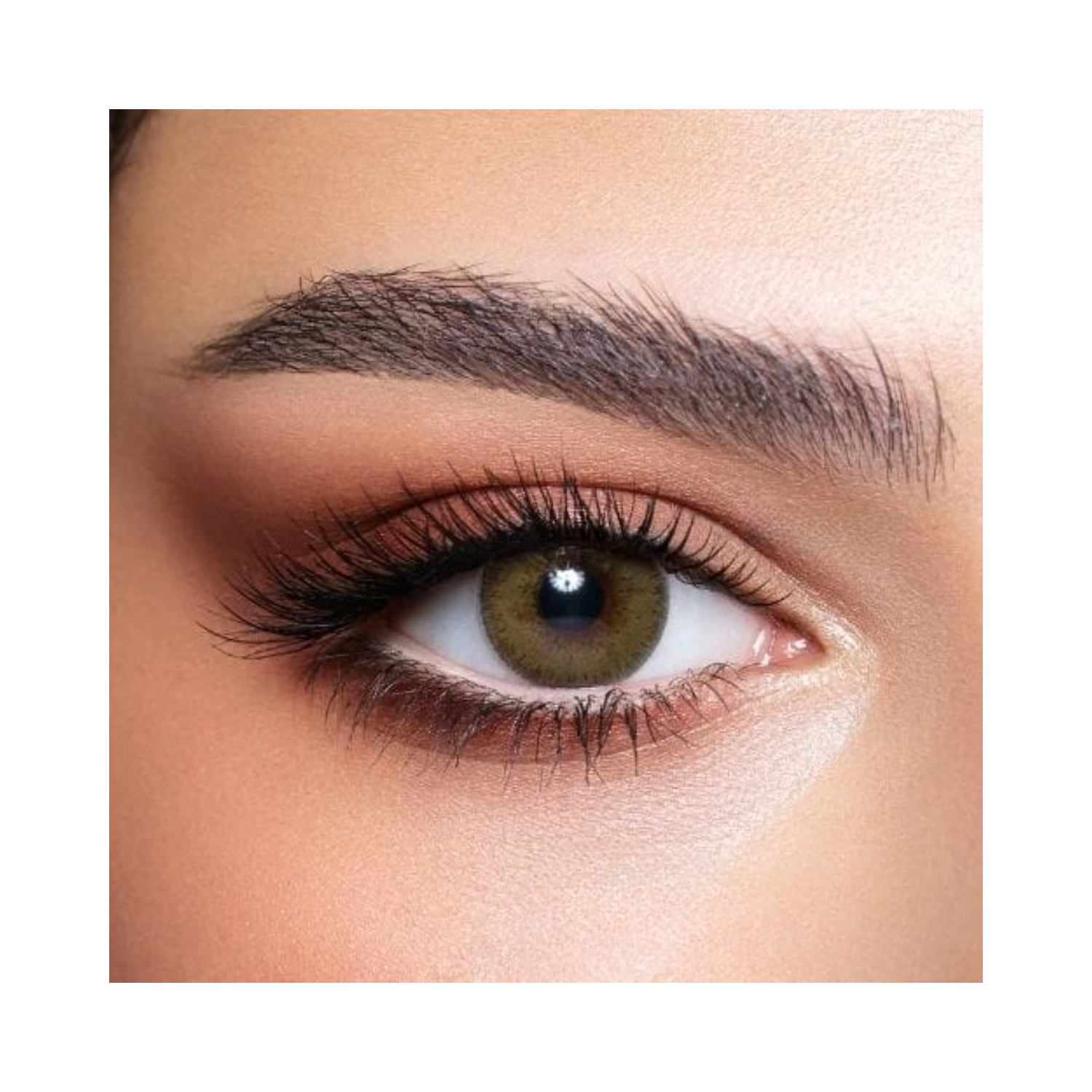 bella-elite-silky-gold-lenses