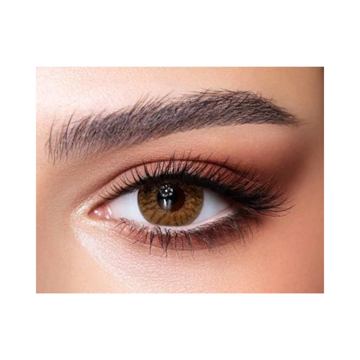 bella-one-day-radiant-hazelnut-lenses