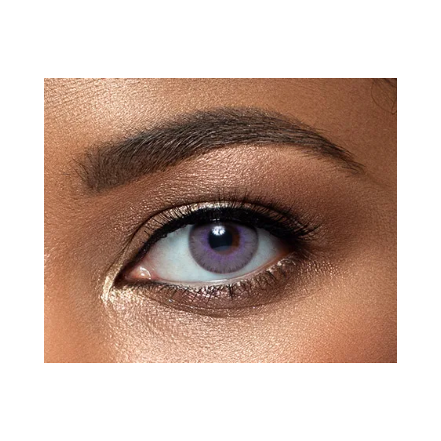 lens-me-lavender-grey