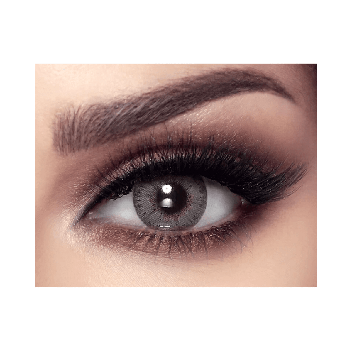 Bella Elite Amber Gray Lenses - Gift Point