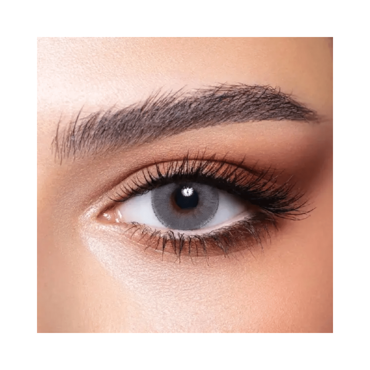 Bella Elite Cloudy Gray Lenses - Gift Point