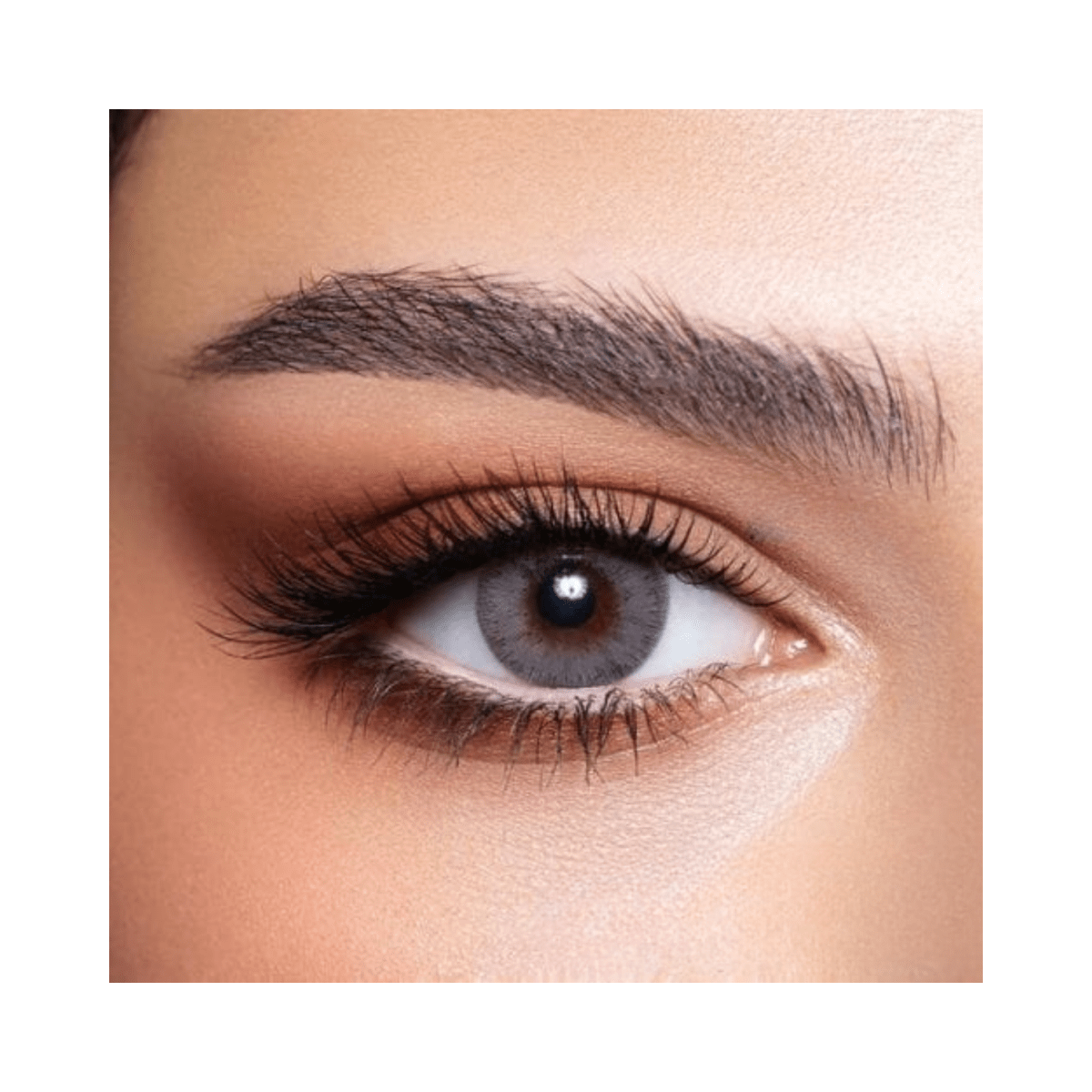 Bella Elite Crystal N Lenses - Gift Point