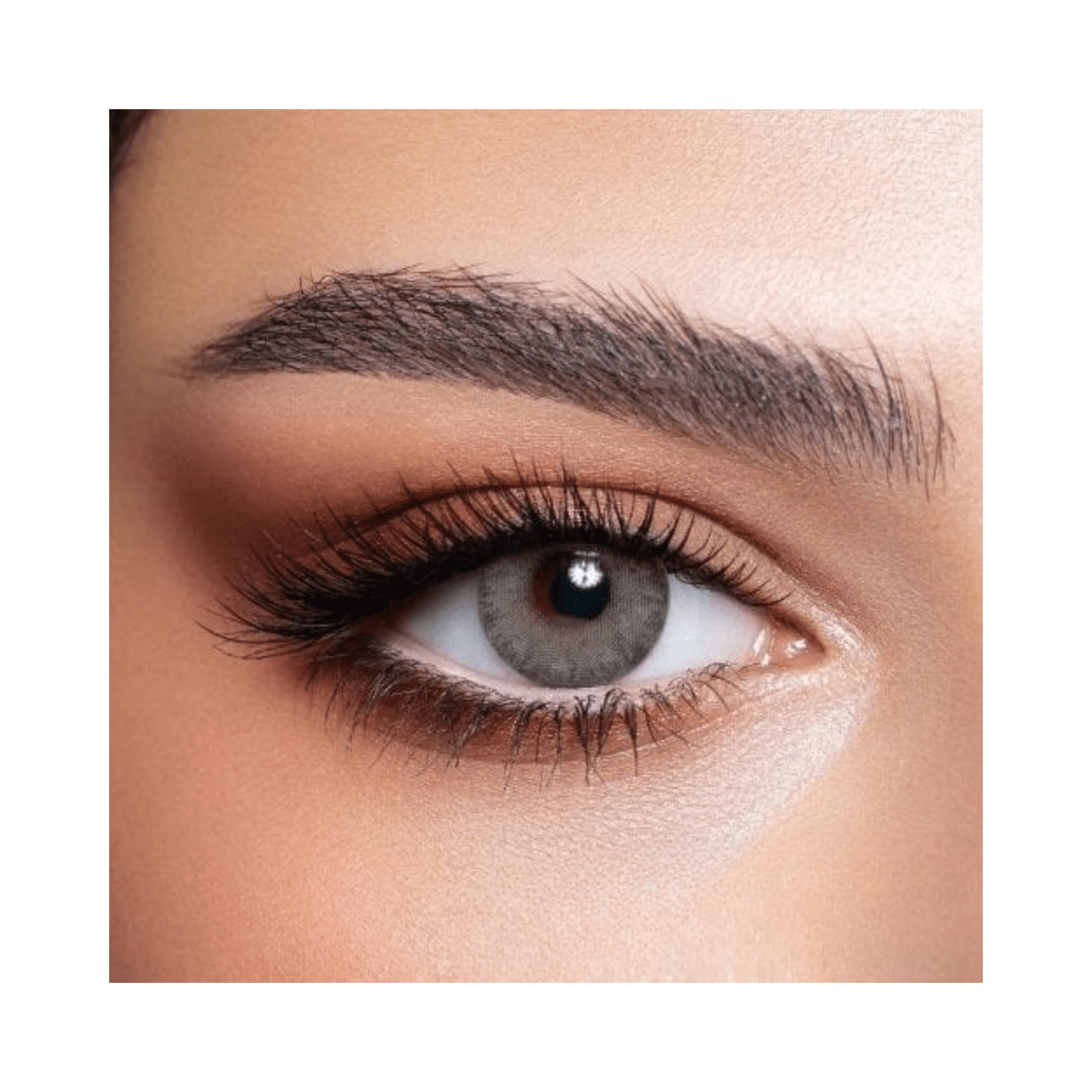 Bella Elite Gray Olive Lenses - Gift Point