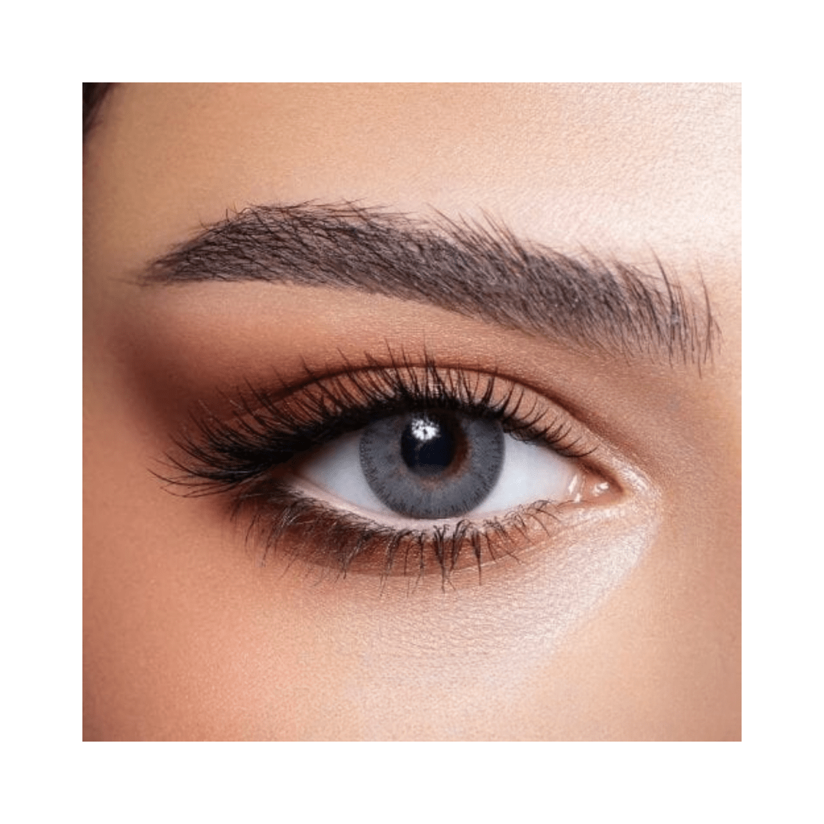 Bella Elite Midnight Blue Lenses - Gift Point