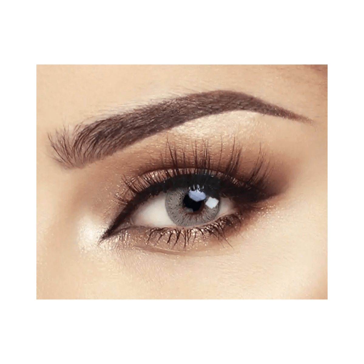 Bella Elite Mint Gray Lenses - Gift Point