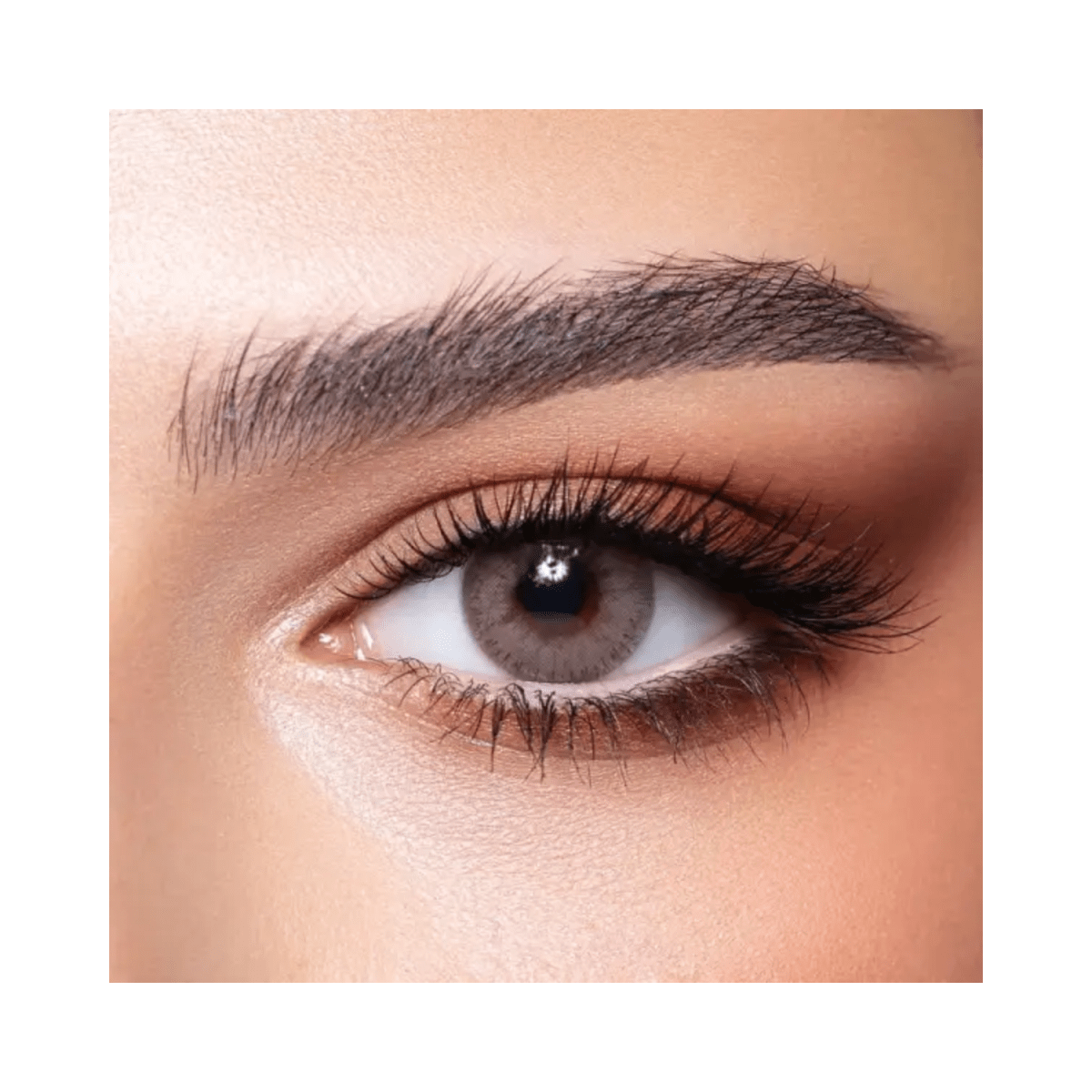 Bella Elite Sandy Gray Lenses - Gift Point