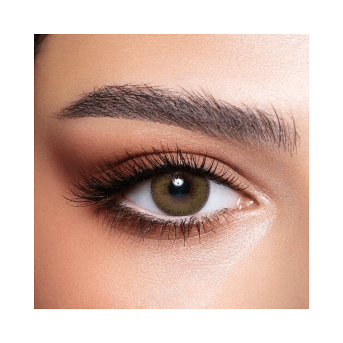 Bella Elite Silky Gold Lenses - Gift Point