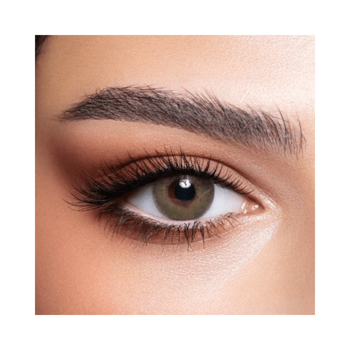 Bella Elite Silky Green Lenses - Gift Point