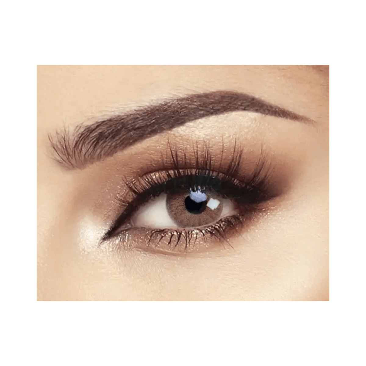 Bella Elite Wild Honey Lenses - Gift Point