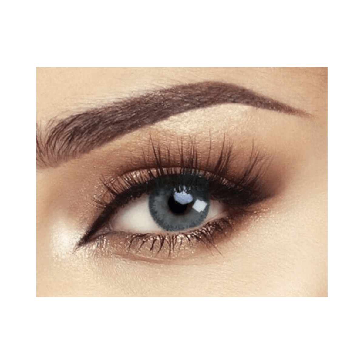 Bella Glow Navy Gray Lenses - Gift Point