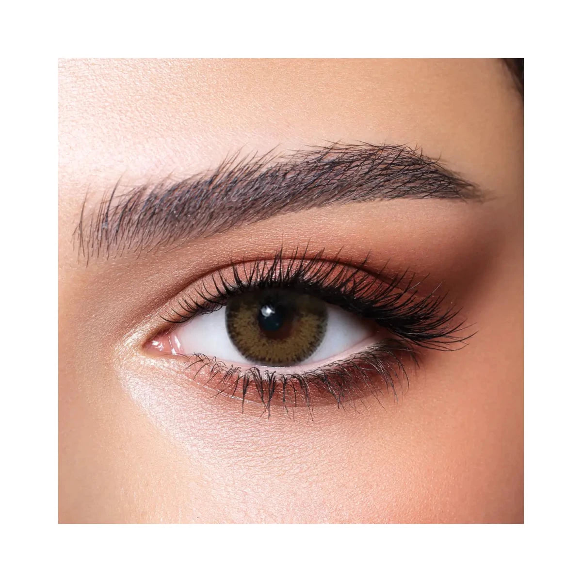 Bella Glow Radiant Hazelnut Lenses - Gift Point
