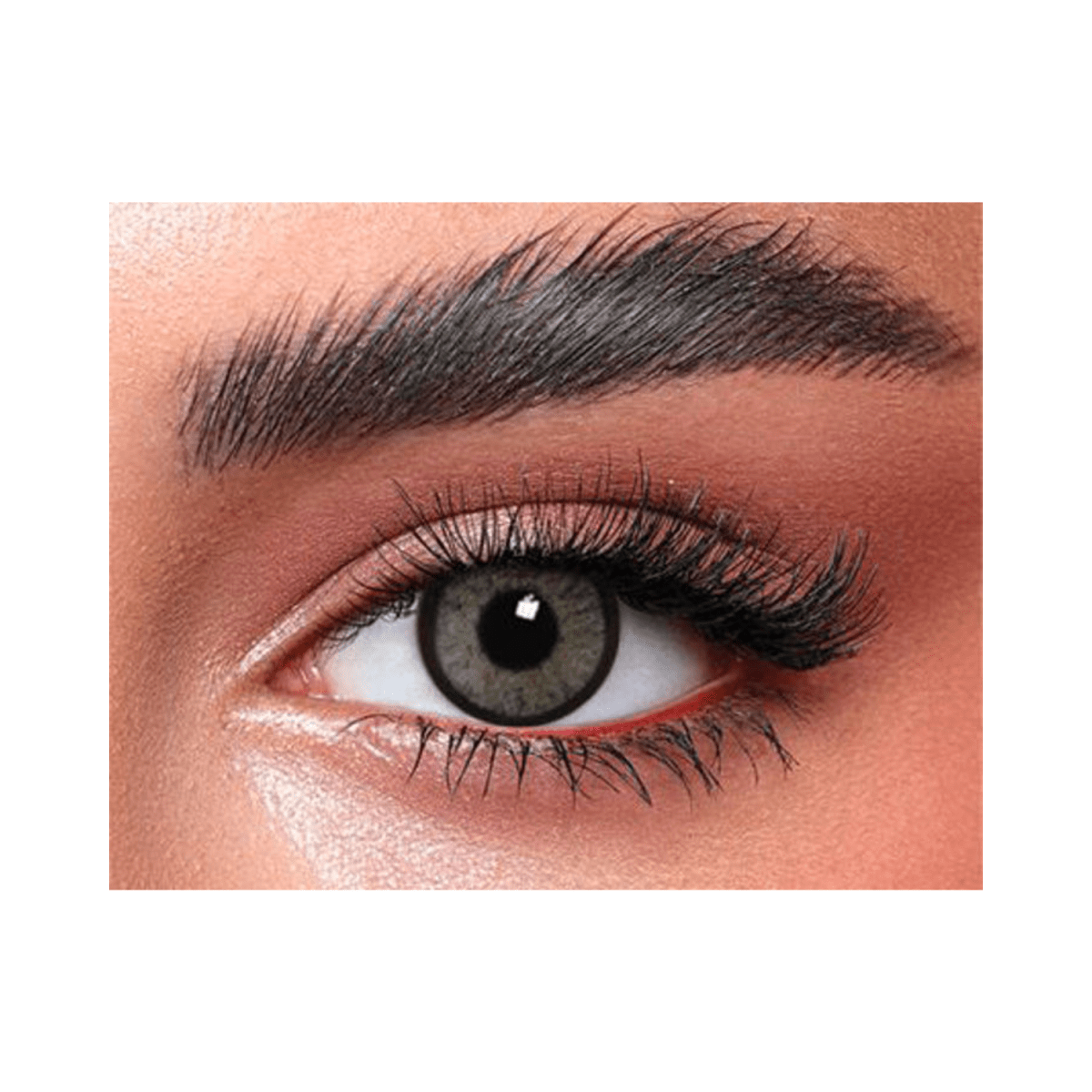Bella Highlight Cool Grey Lenses - Gift Point