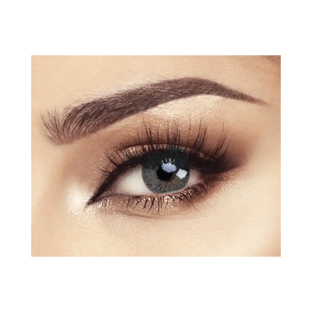 Bella Natural Gray Lenses - Gift Point