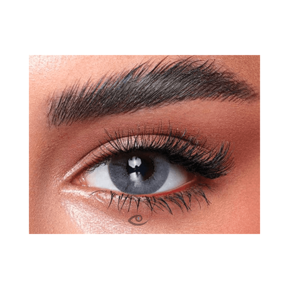 Bella One Day Bluish Gray Lenses - Gift Point