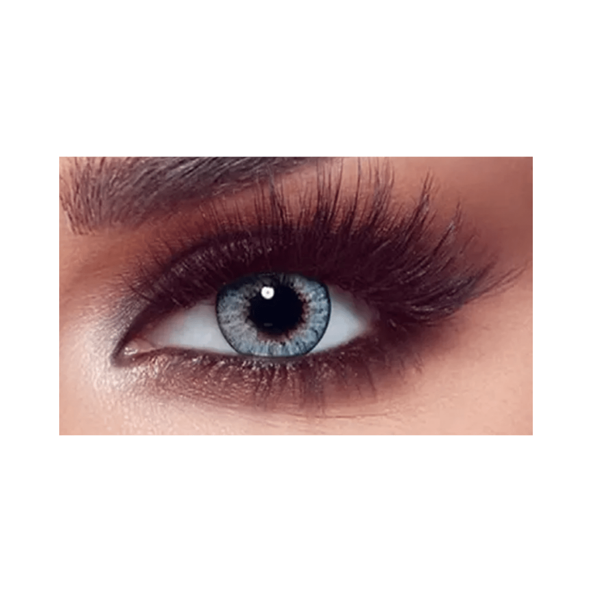 Bella One Day Ocean blue Lenses - Gift Point