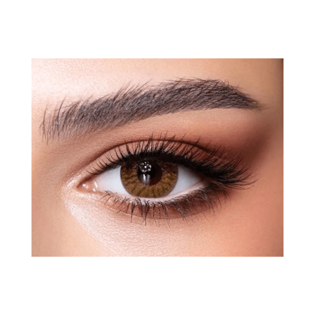 Bella One Day Radiant Hazelnut Lenses - Gift Point