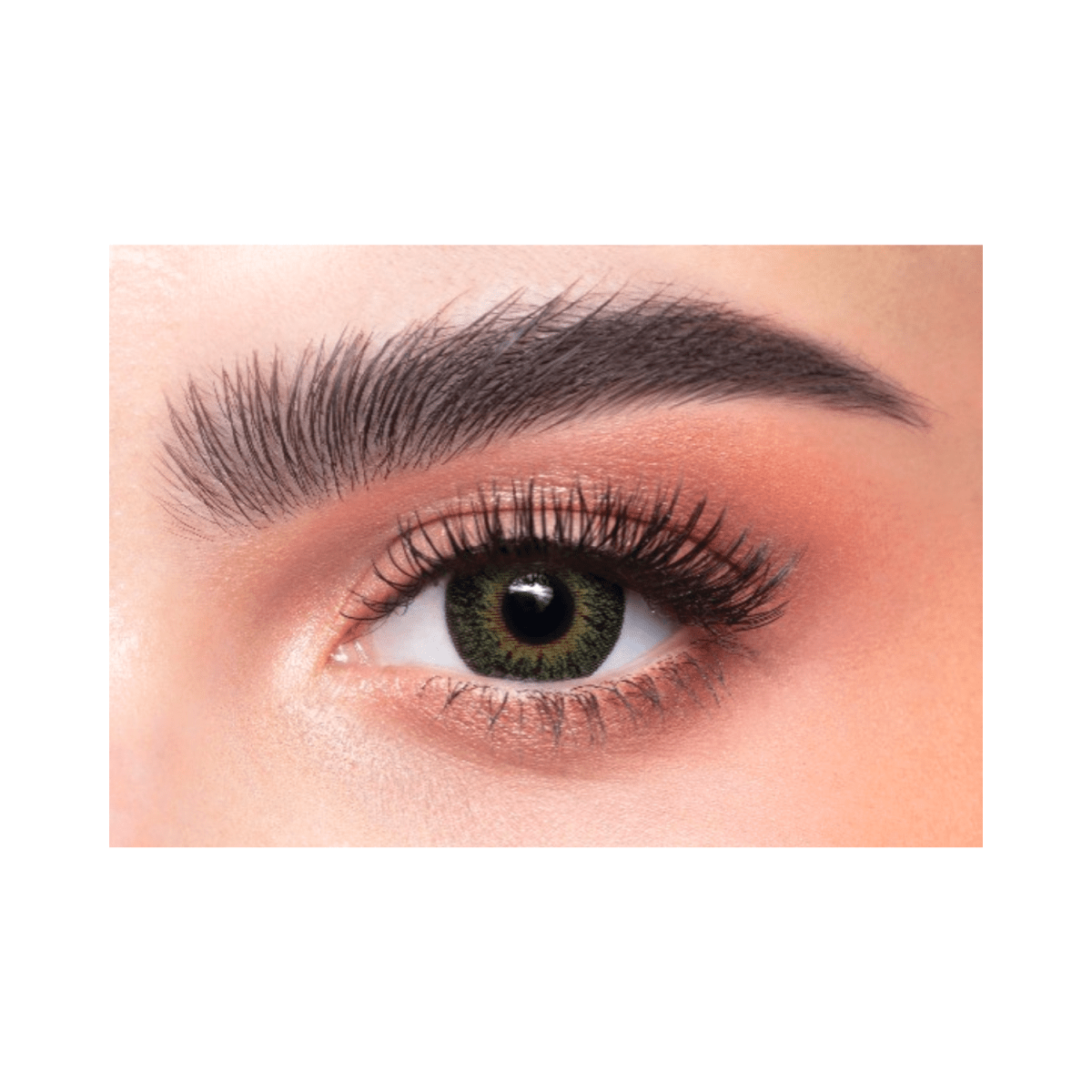 Dahab Lenses 10-Medusa - Gift Point