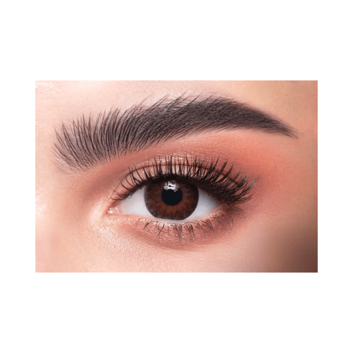 Dahab Lenses 12-Topaz - Gift Point