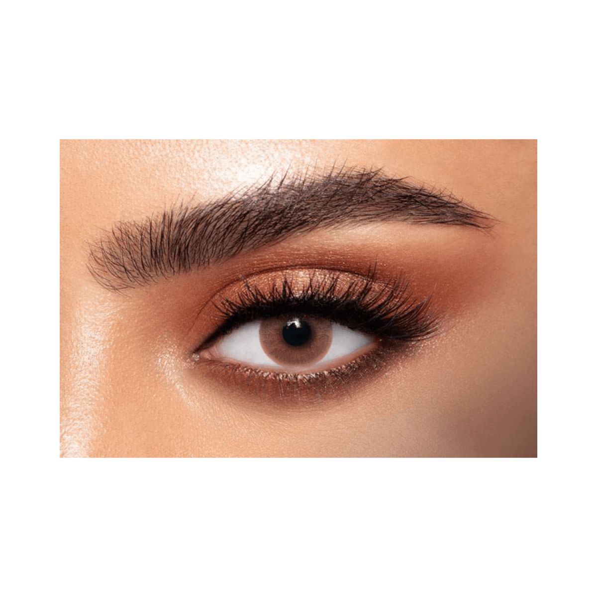 Dahab Lenses 19-Marron - Gift Point
