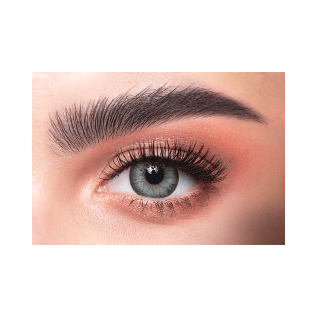 Dahab Lenses 5-Gray Green - Gift Point