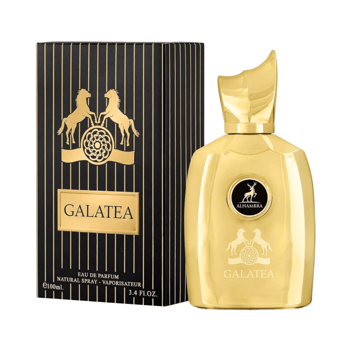 Galatea Eau De Parfum For Men 100ml - Gift Point