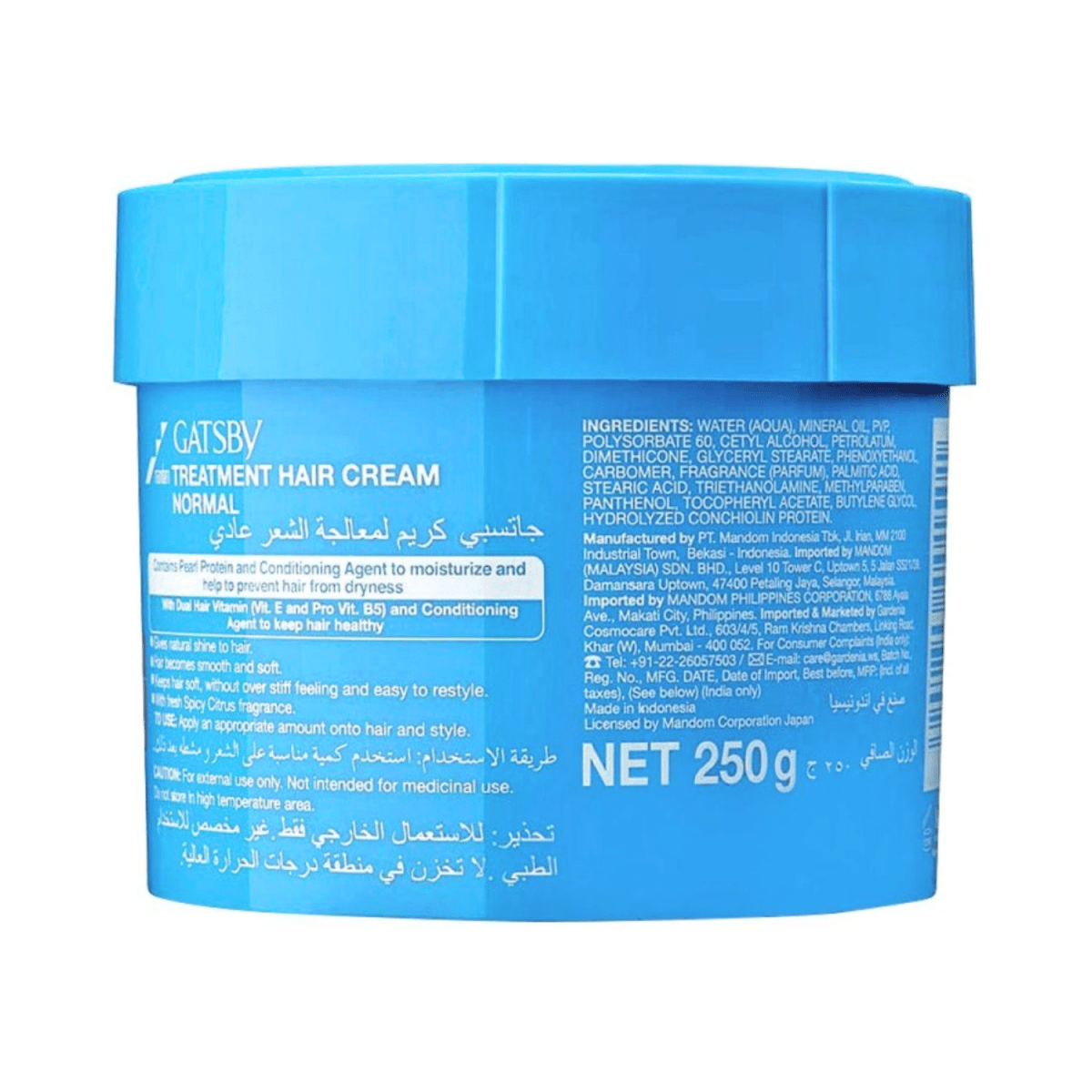 Gatsby Care Treatment Hair Cream Normal Long Lasting Moisture 250g - Gift Point