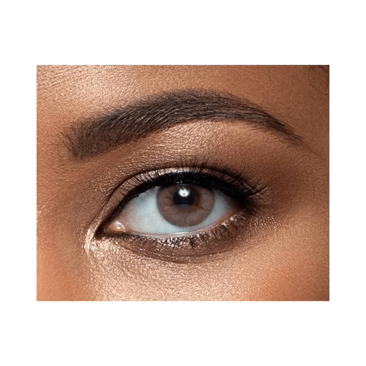 Lens me Sandy Brown - Gift Point